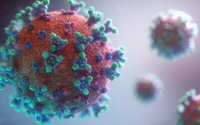 Coronavirus og det bornholmske erhvervsliv