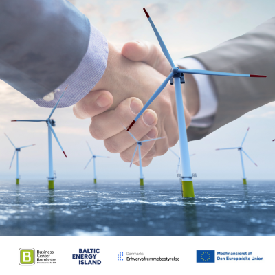 Energiøen: Fra megaprojekt itl lokale muligheder